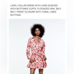 Zara dress. Worn twice